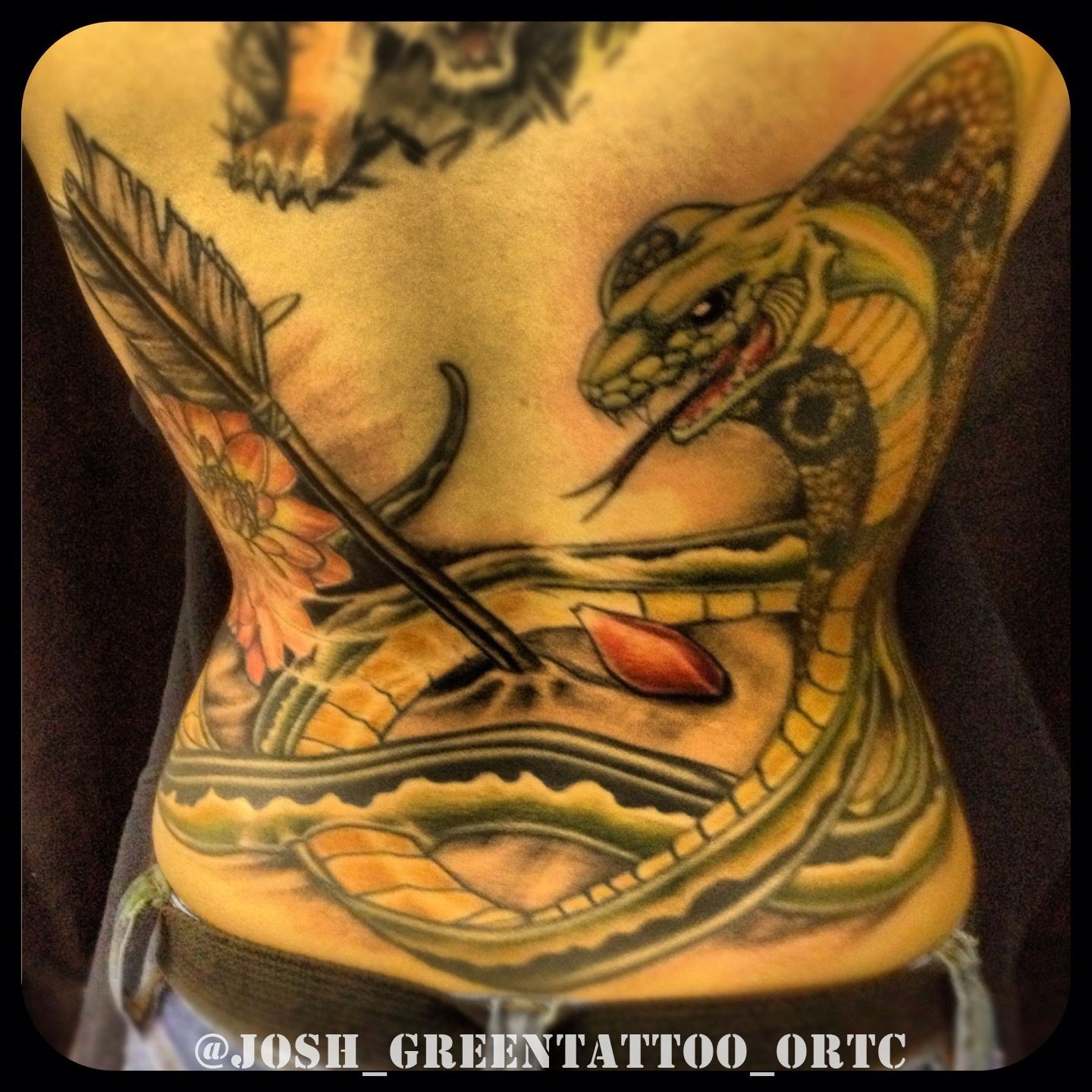 01c832ce2e8d250cdf598bbbfa535ab8602d54195e