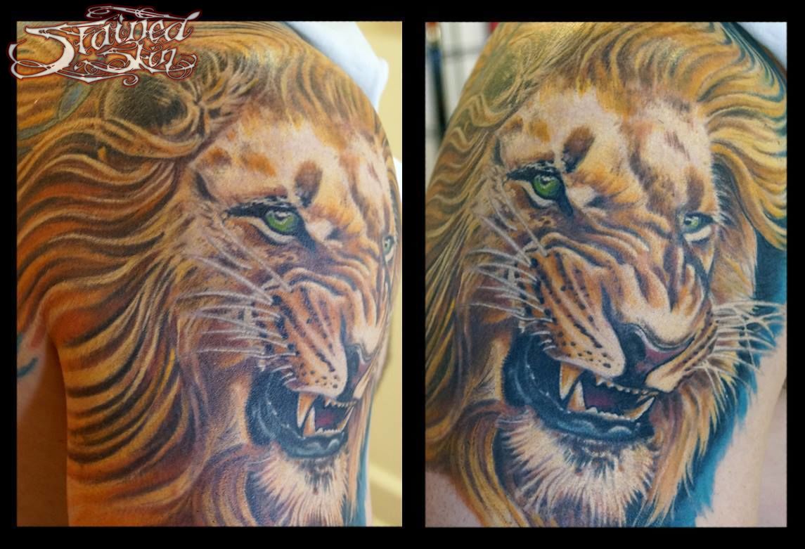 Dubois-lion-healed-jpg