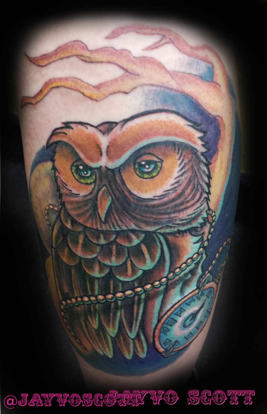 Owl