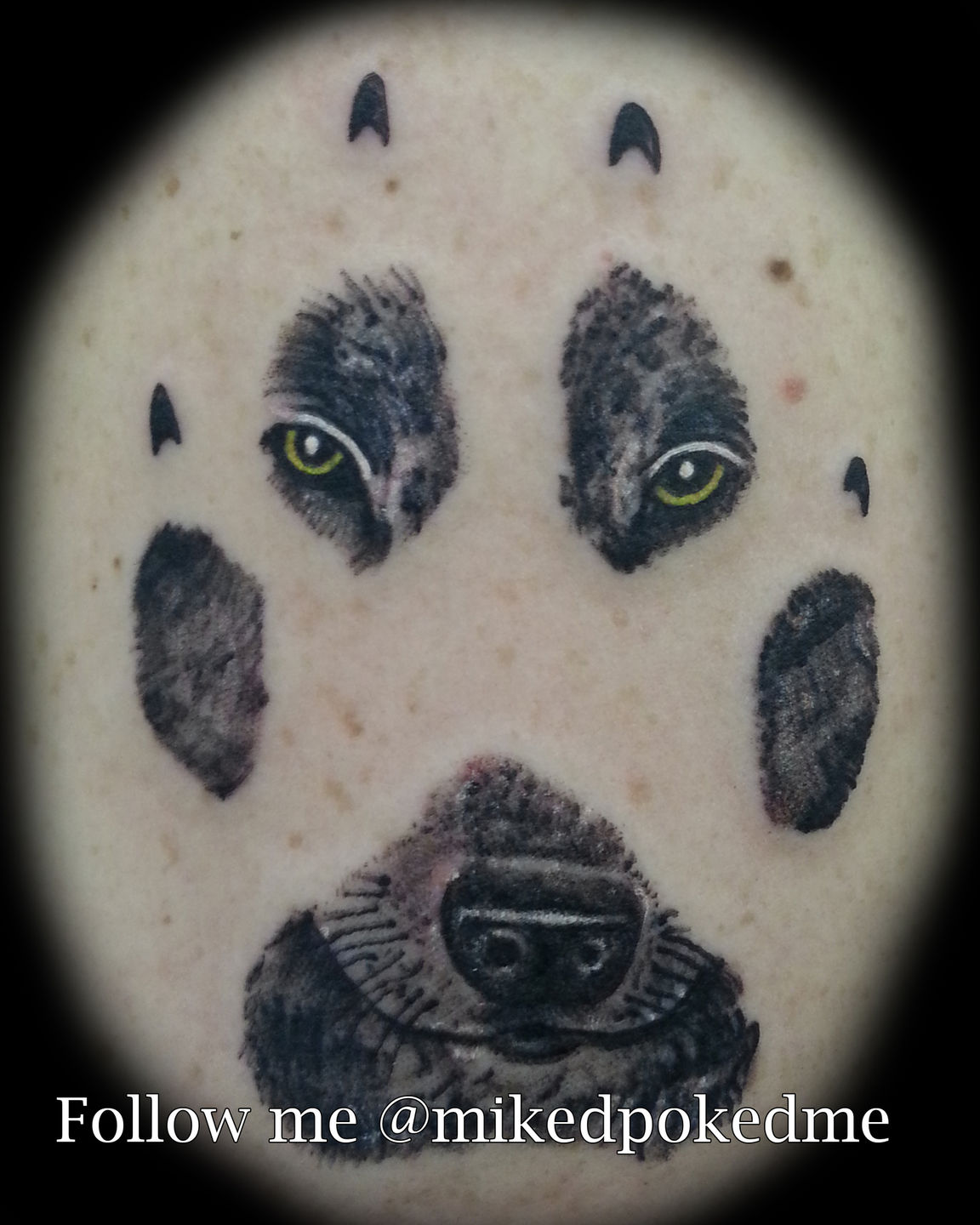 Wolf_paw