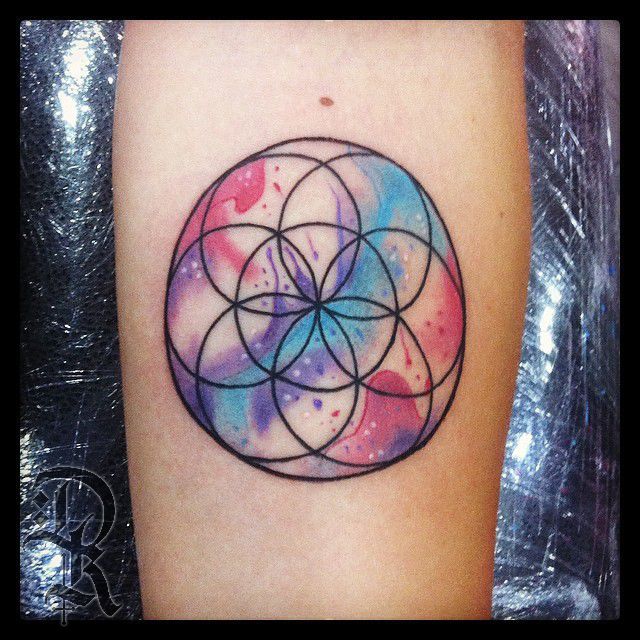 927964_794866587193110_1112199624_n