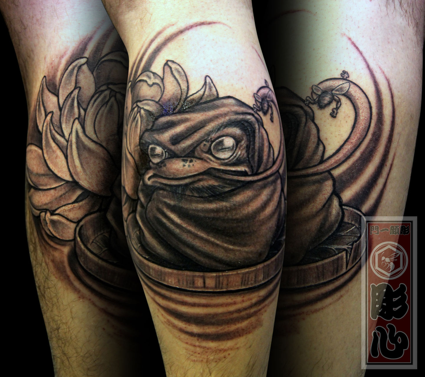 Daruma_frog_full