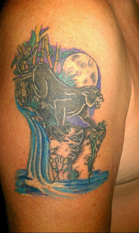 4-7a019284-2186689-800