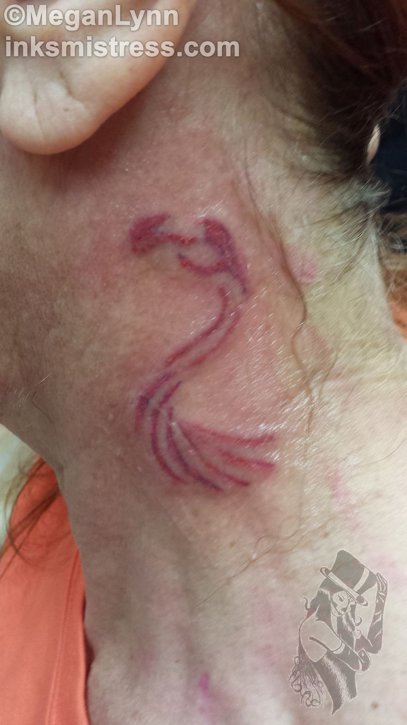 Aftershock-flemingo-png