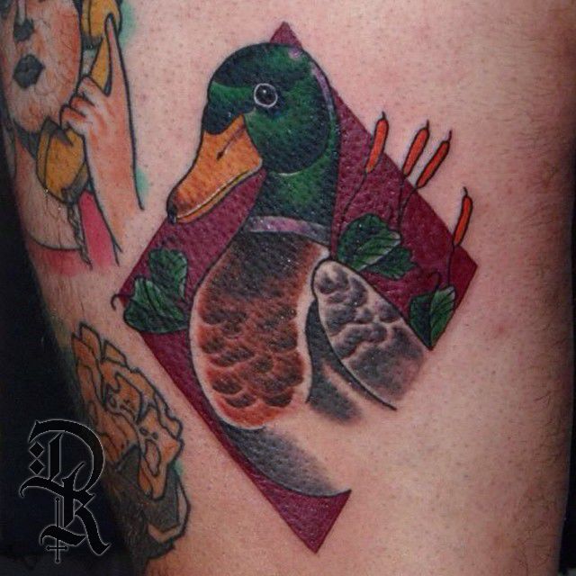 10724253_346126742222054_41689095_n