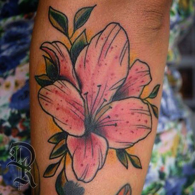 10729248_1546860818863873_1216298351_n