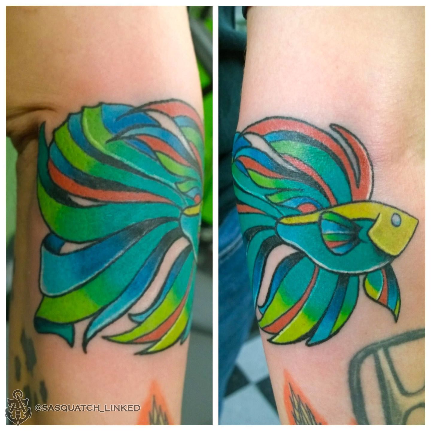 1559488_10152712252118555_9064319595659727536_o