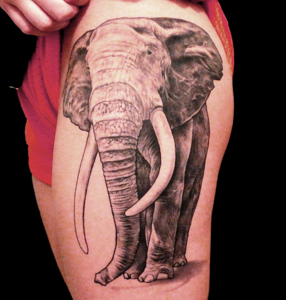 Elephant