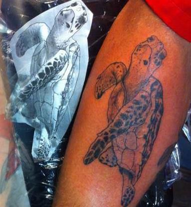 10600364_560104110756272_4853780024613624809_n