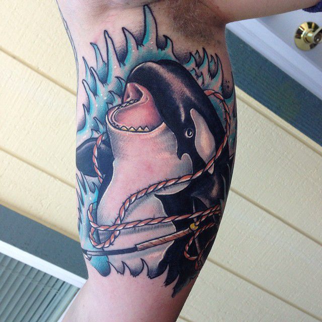 10696175_718534601529864_7068924538163270062_n