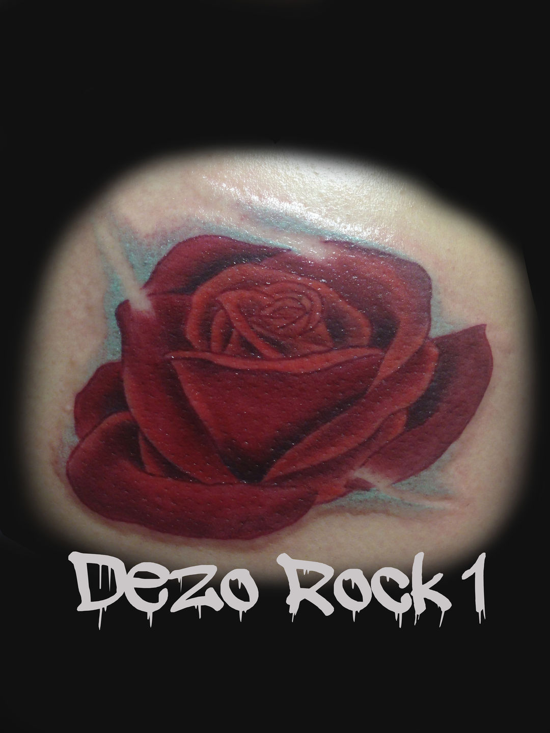 All_red_rose_portfolio