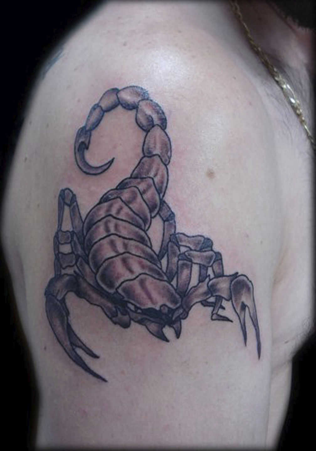 Scorpion