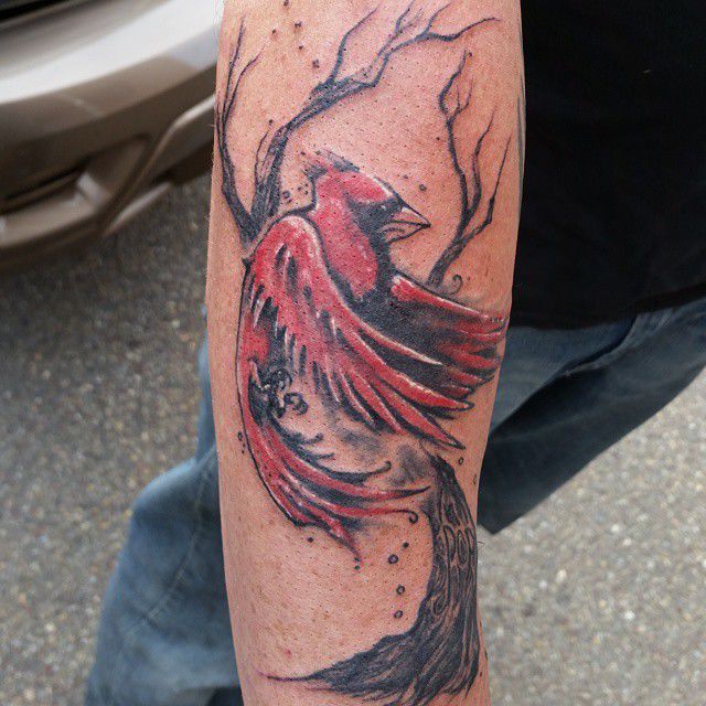 1011624_4654550178296_6752675504420827906_n