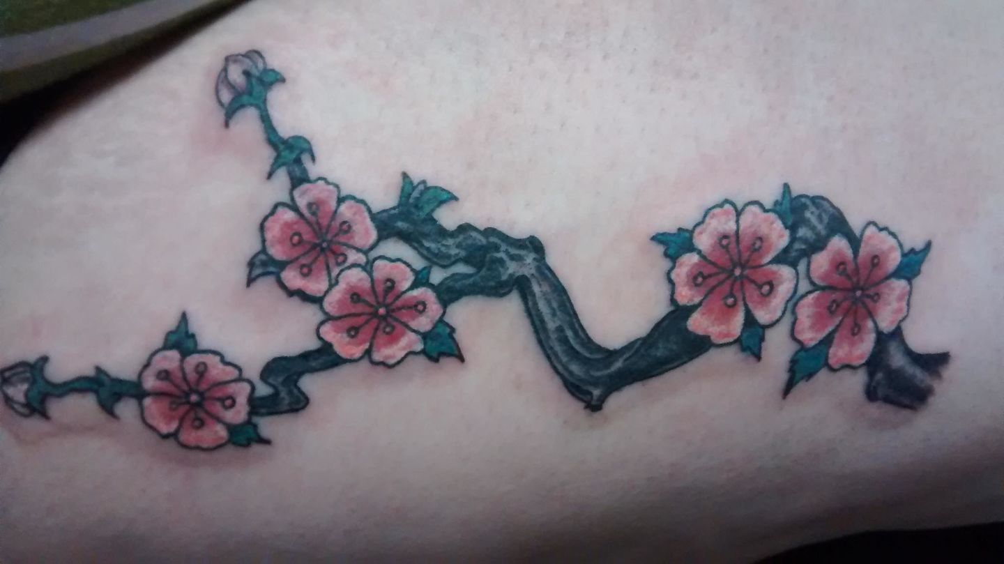 10818331_620293198092899_4332347189814184299_o