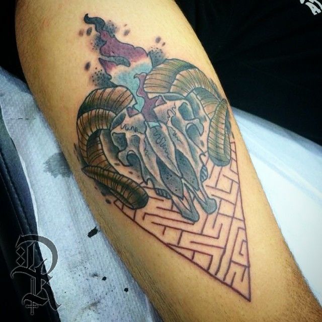 10832032_1518766645049644_494103878_n