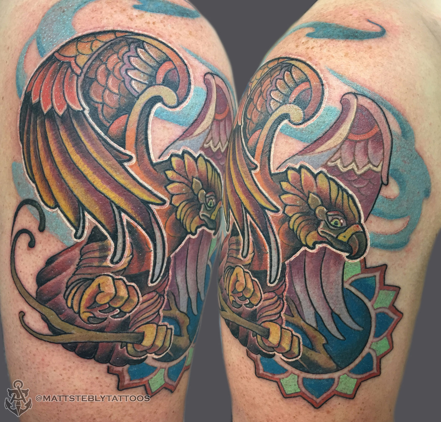 Matt-stebly-hawk-jpg