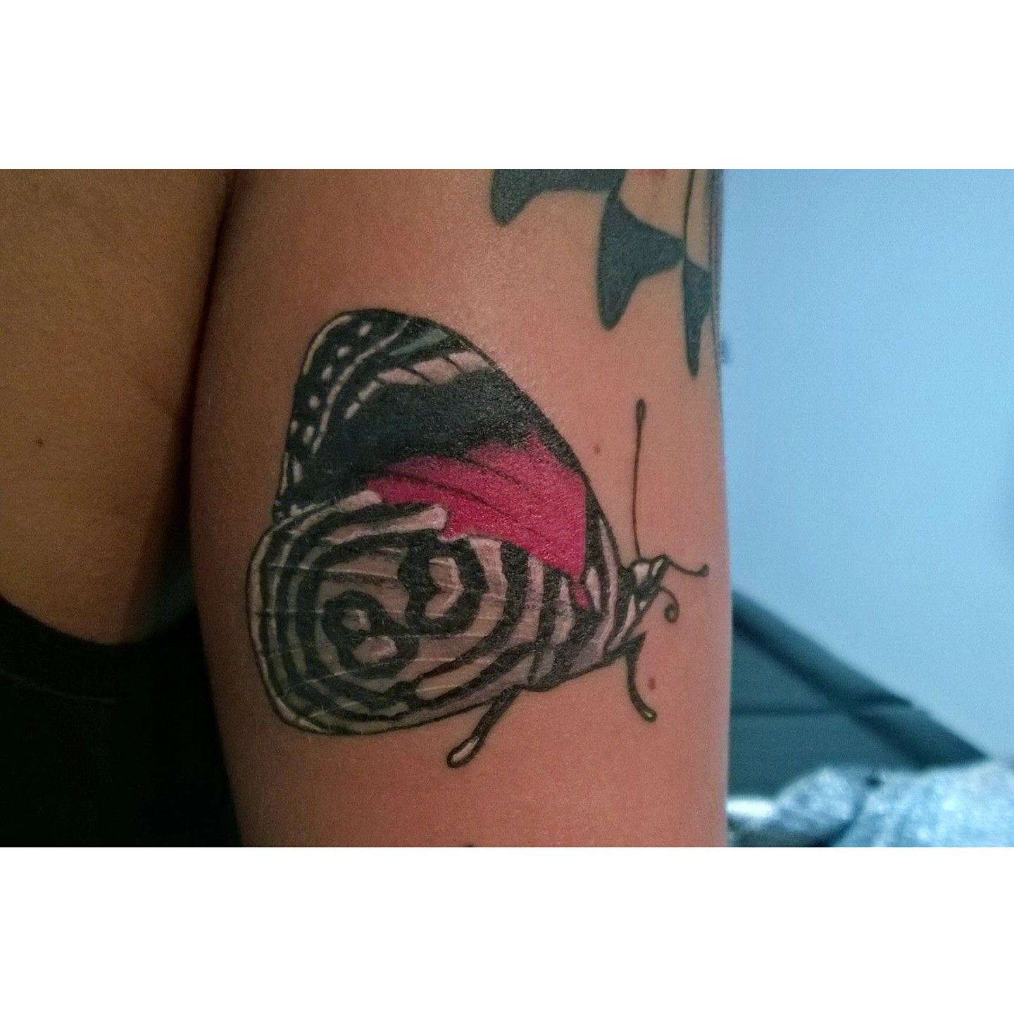 6tag-171214-222846-jpg