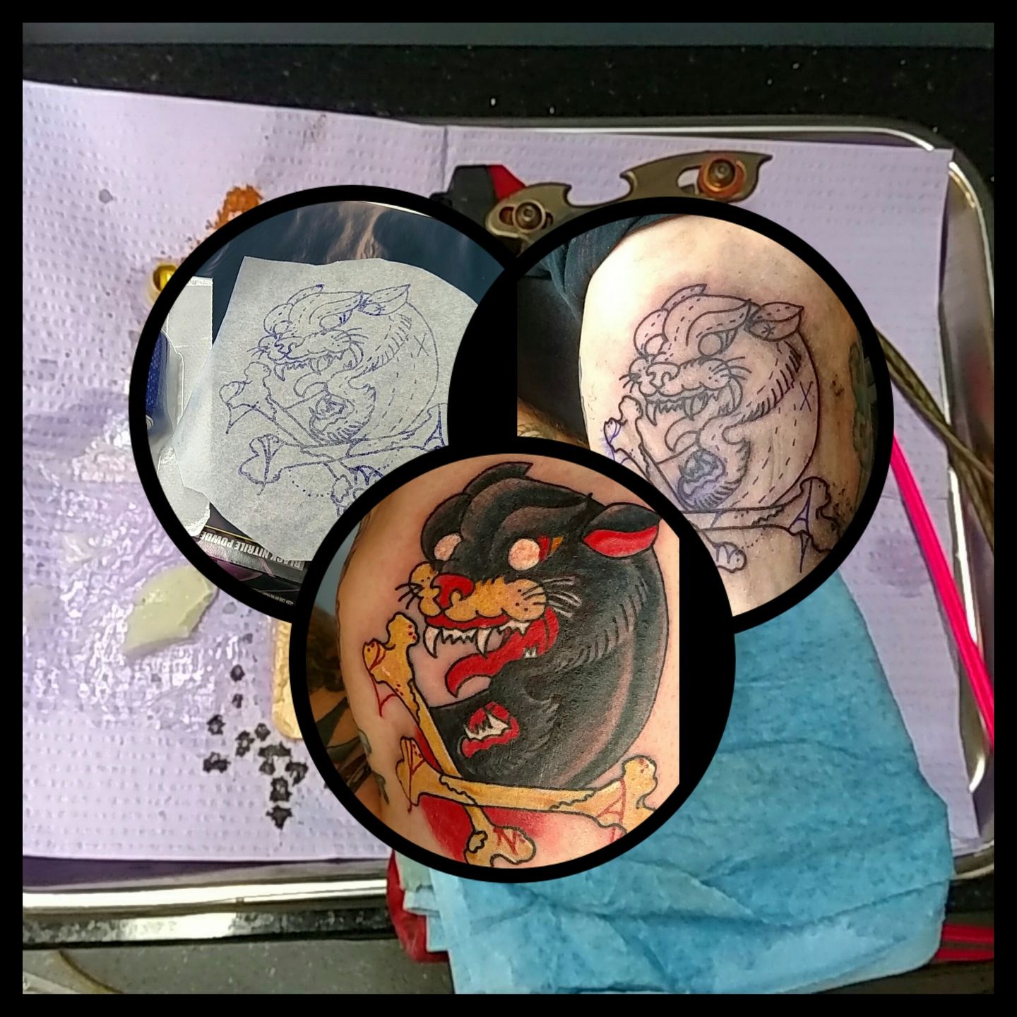 Photogrid-1421636278012-jpg