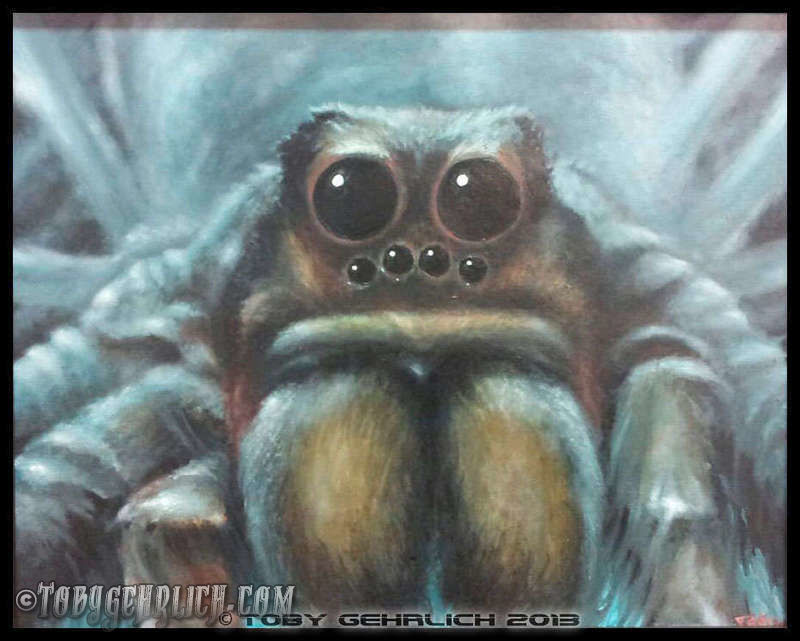 Hairy-spider-163-jpg