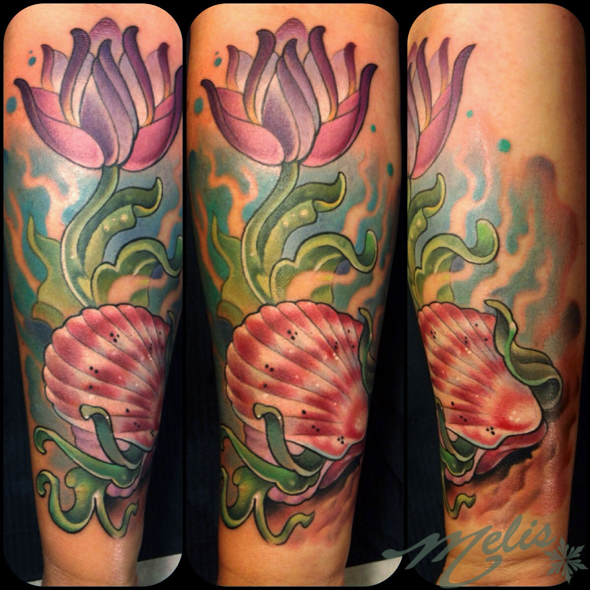 Melissa-fusco-tattoo-artist-colorado-scallop-flower-sealife-tattoo-jpg