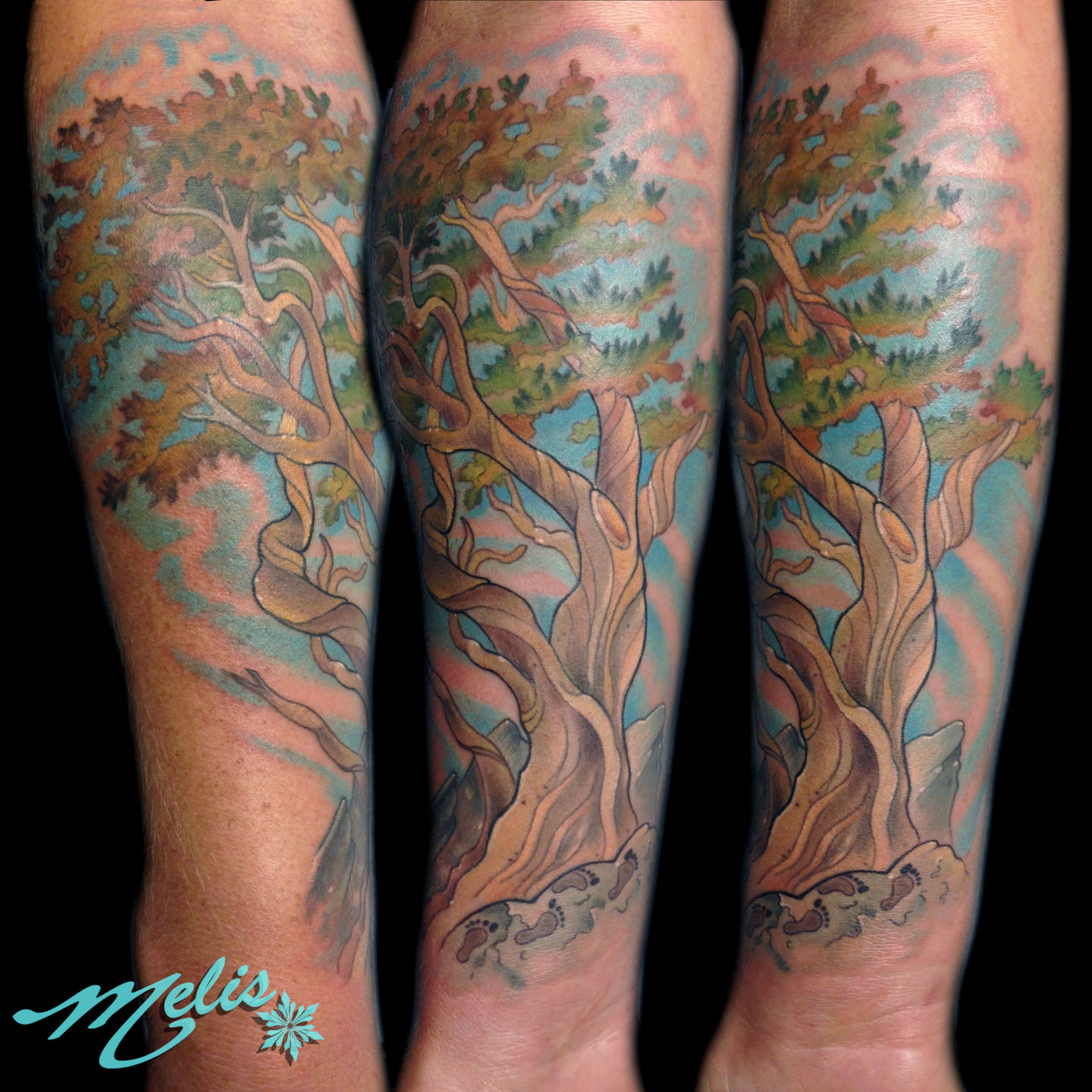 Melissa-fusco-bristlecone-pine-tree-tattoo-denver-colorado-jpg