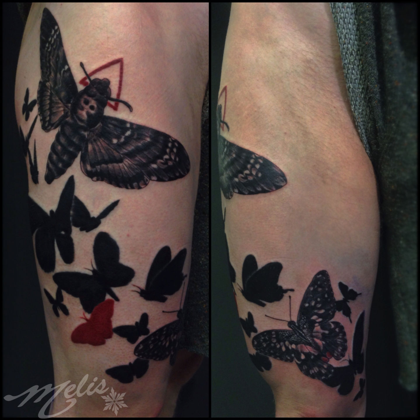 Melissa-fusco-death-moth-black-tattoo-silhouette-denver-colorado-jpg