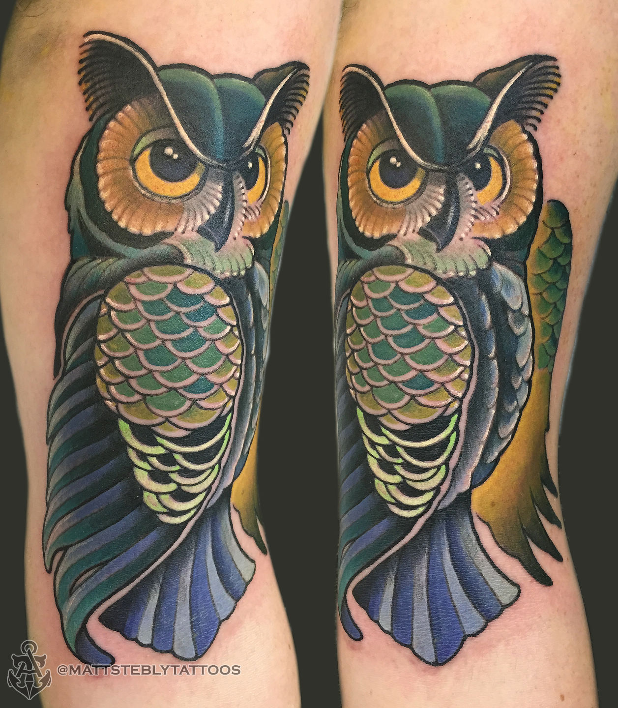 Matt-stebly-owl-jpg