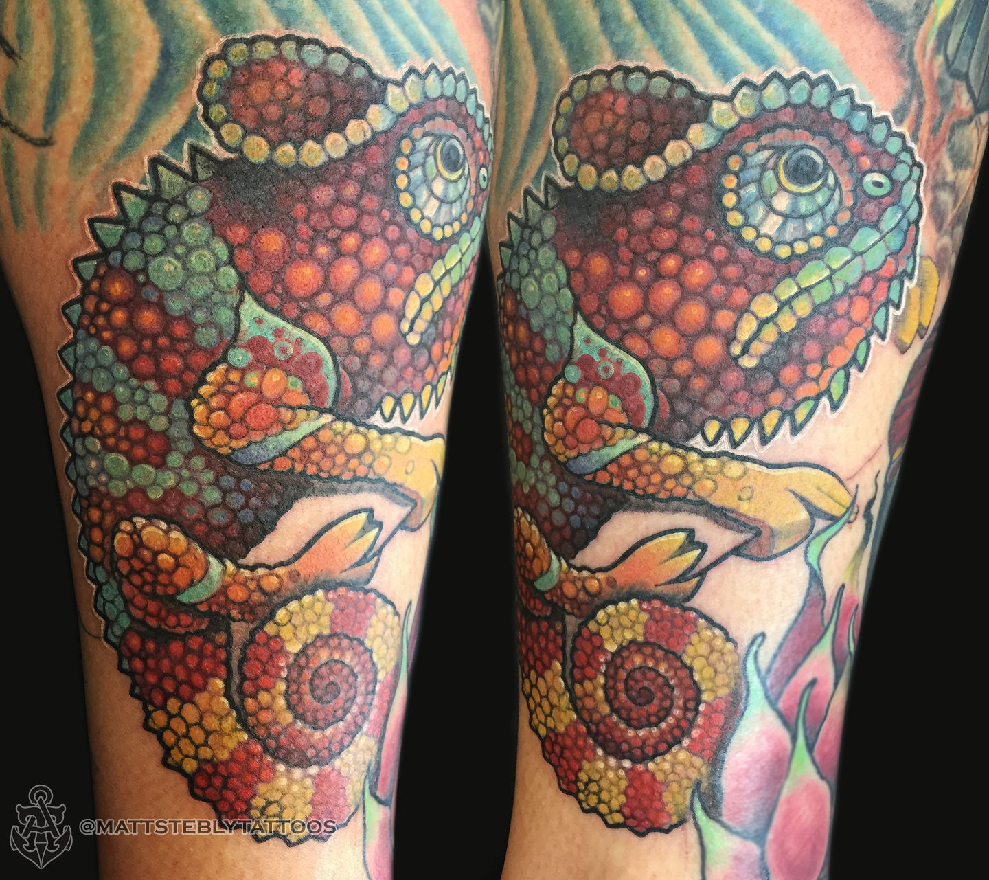 Matt-stebly-lizard-jpg