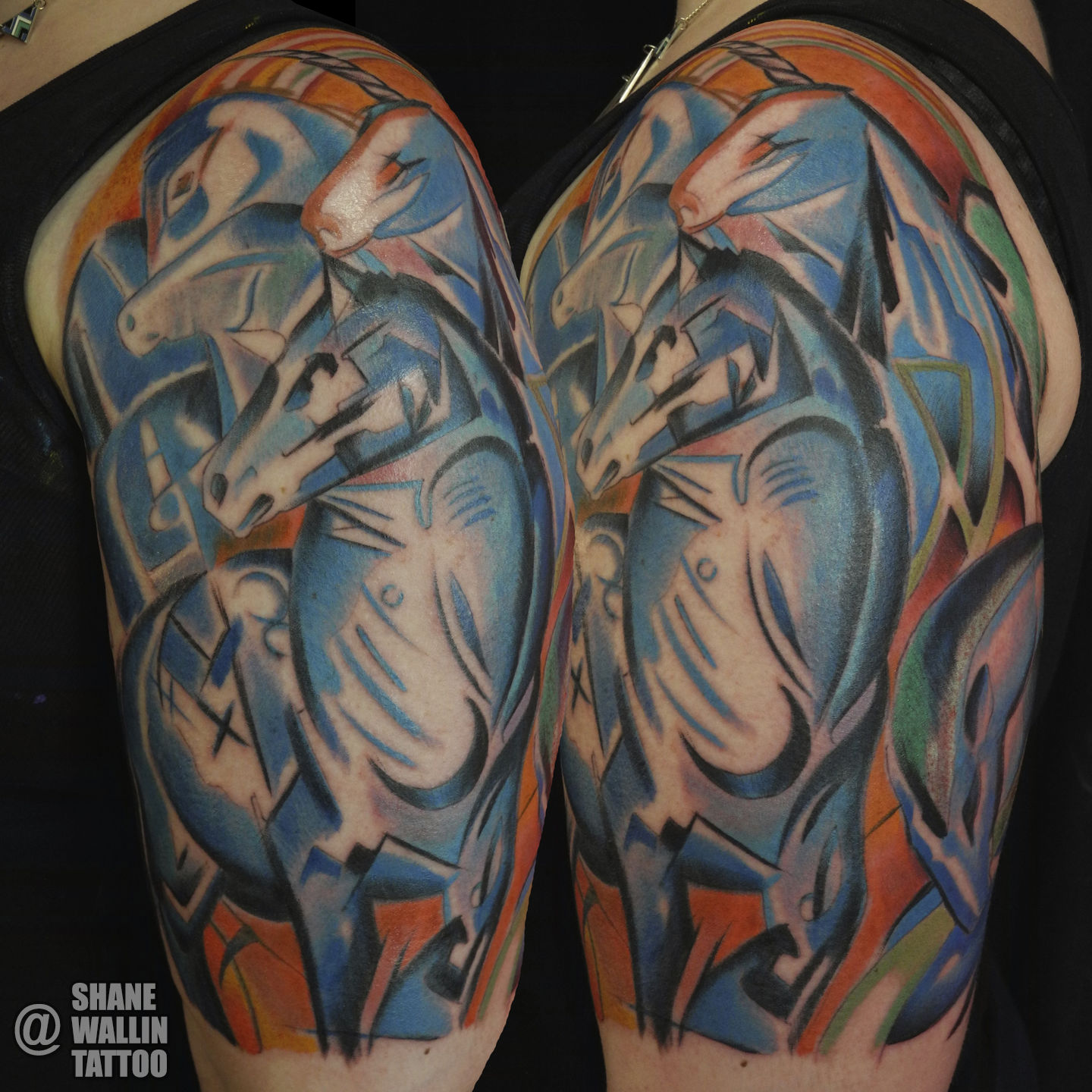 Shane-franz-marc-1-2sleeve-jpg