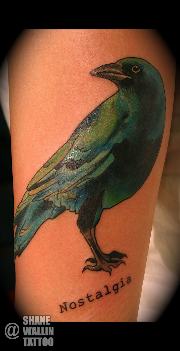Bird-jpg