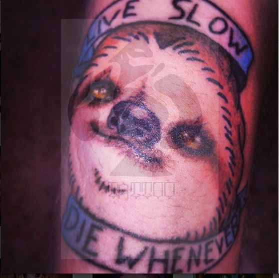 Philosofic-sloth-png