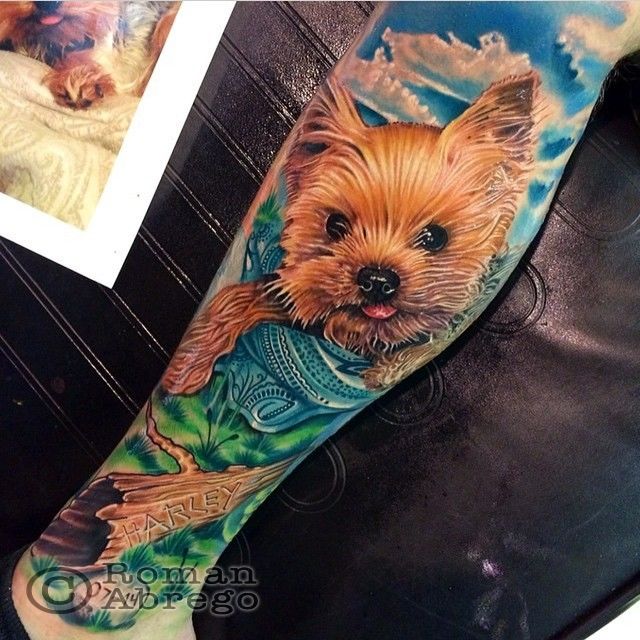 Terrier-jpg