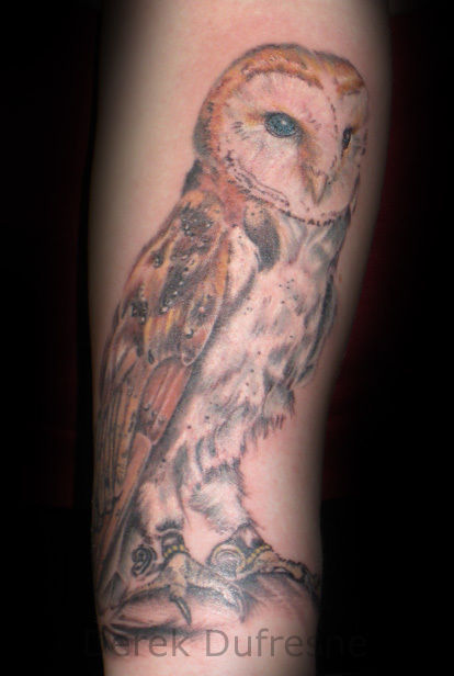 Derek-dufresne-owl-jpg