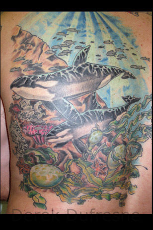 Derek-dufresne-orcas-jpg