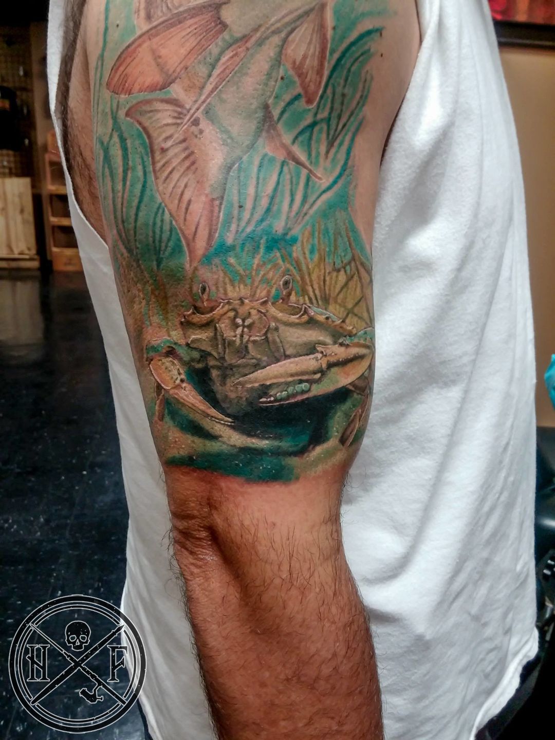 11001629-952341871450655-1308625189547316599-o-jpg