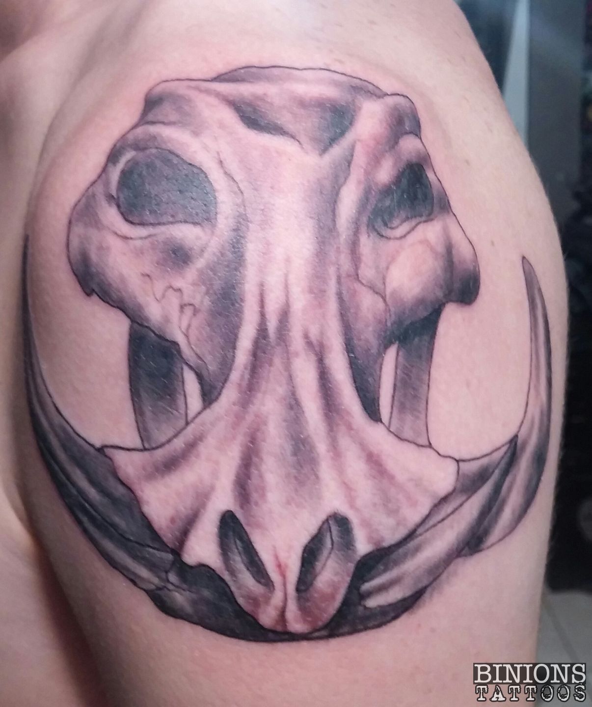 20150316-000032-1-jpg