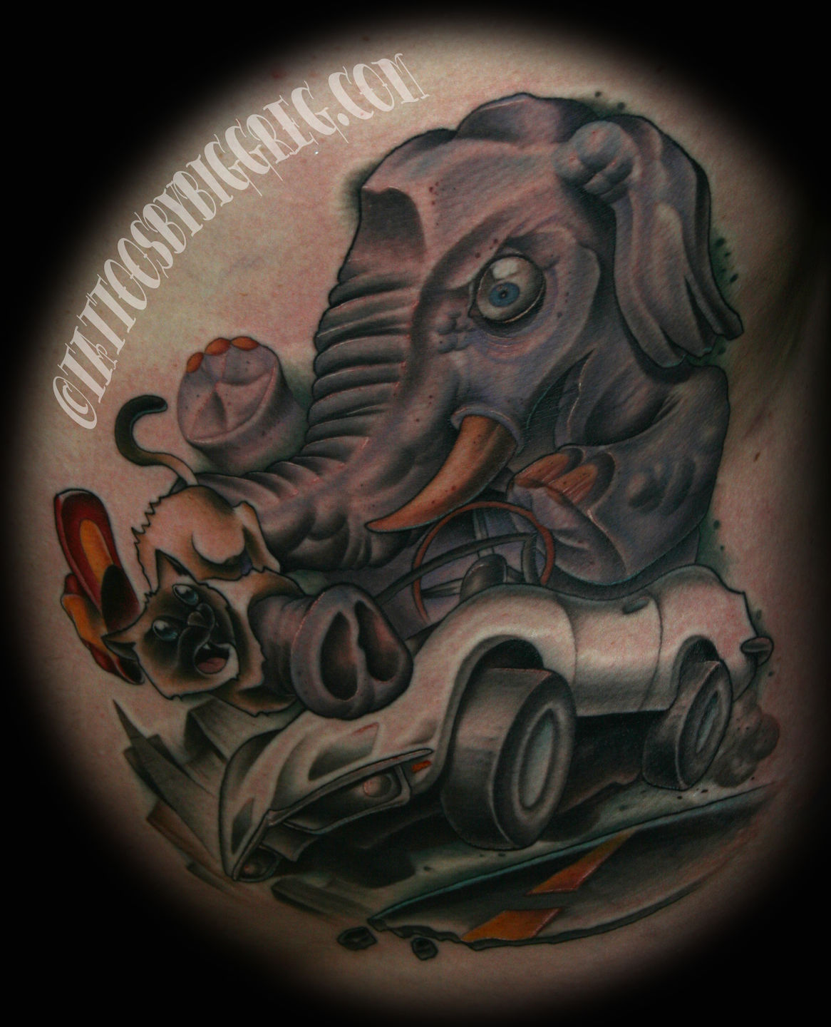 Elephant-corvettewm-jpg