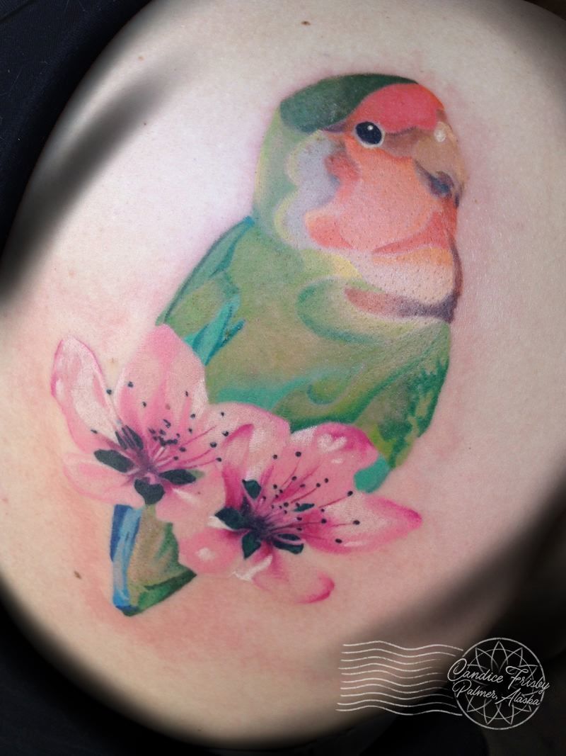 Lovebirdcherryblossom-jpg