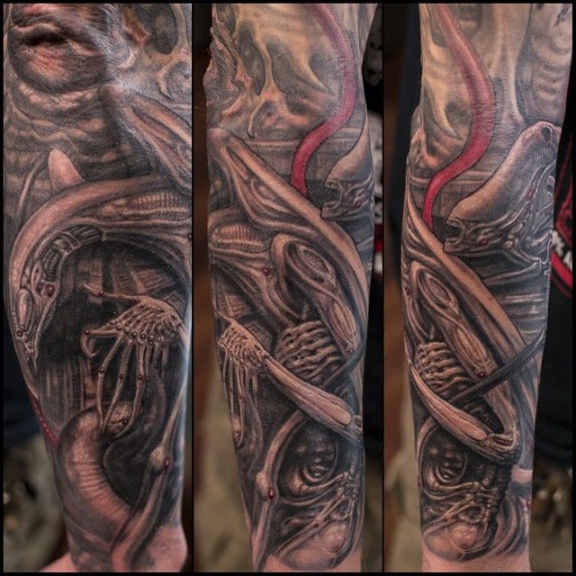 11000197-299058610217925-6453845072533124764-n-jpg