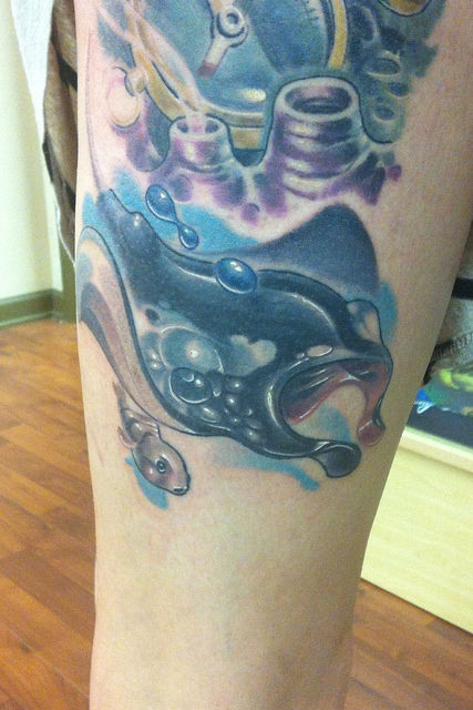 14285425875-9977159f02-z-jpg