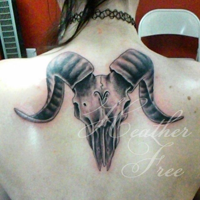 Img-20150125-130528-jpg