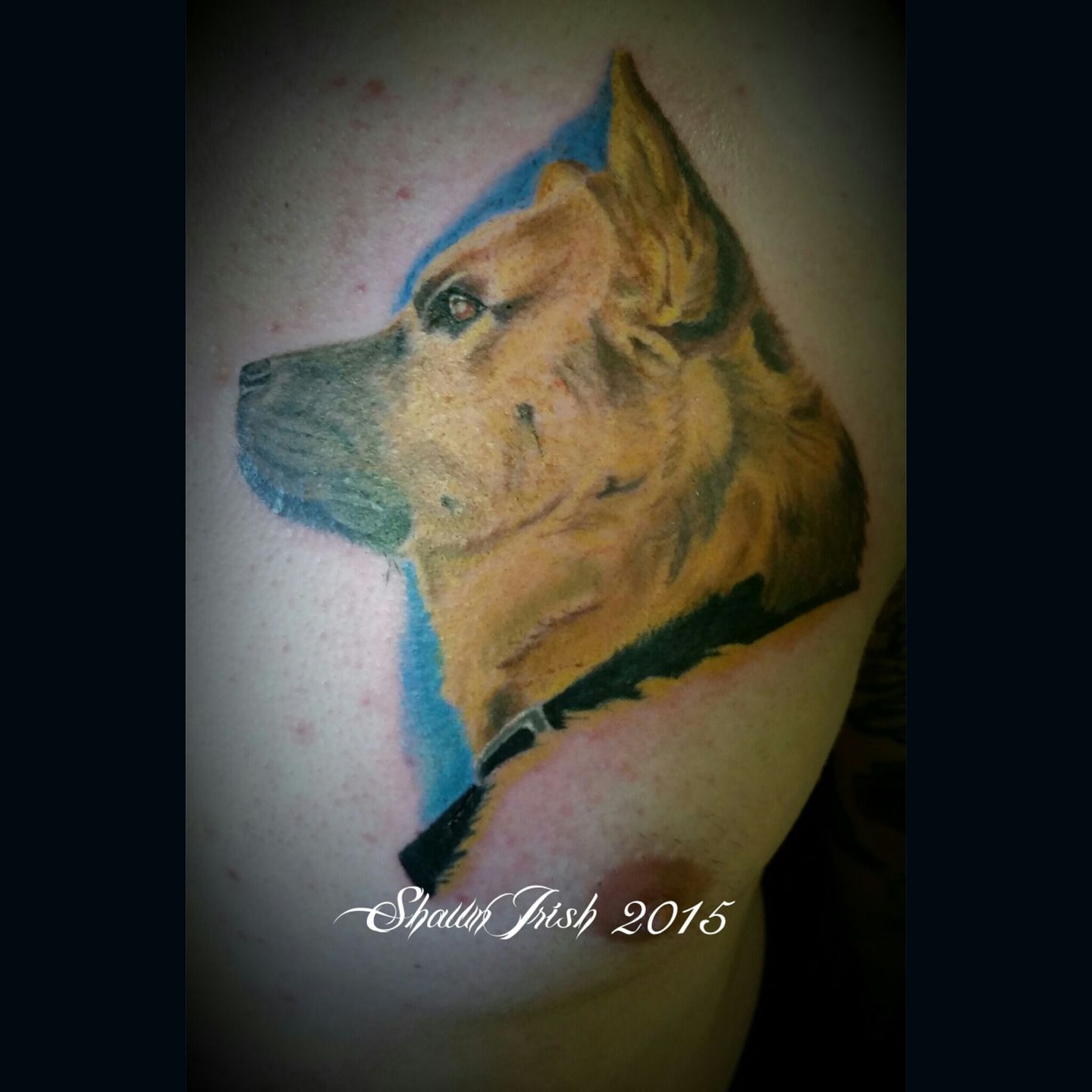 Img-20150406-164743-jpg