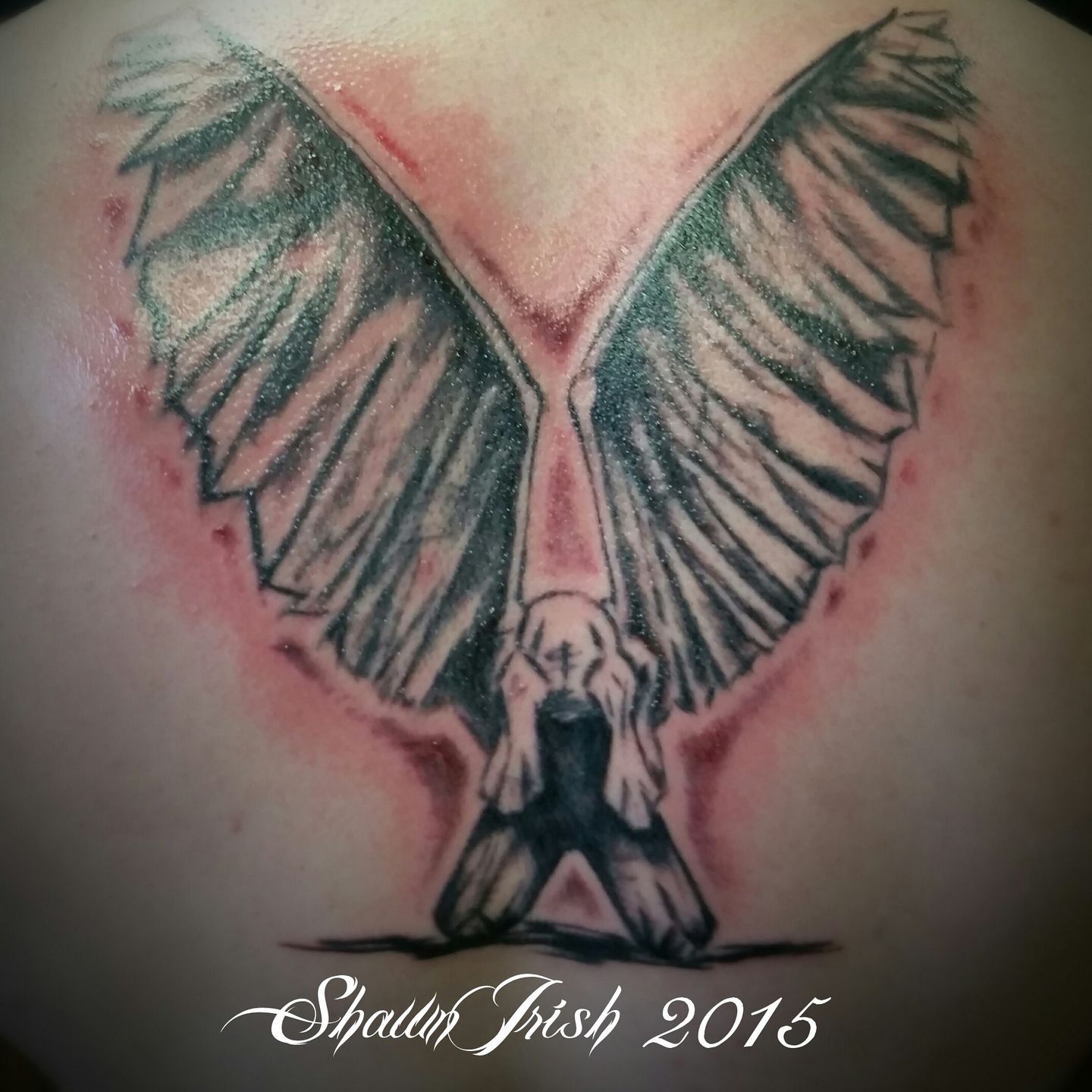 Img-20150502-235225-jpg