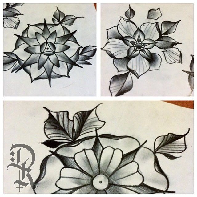 11372510-725021777607795-508262621-n-jpg