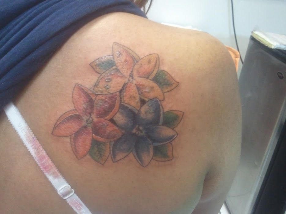 2012-03-11-13-05-55-jpg