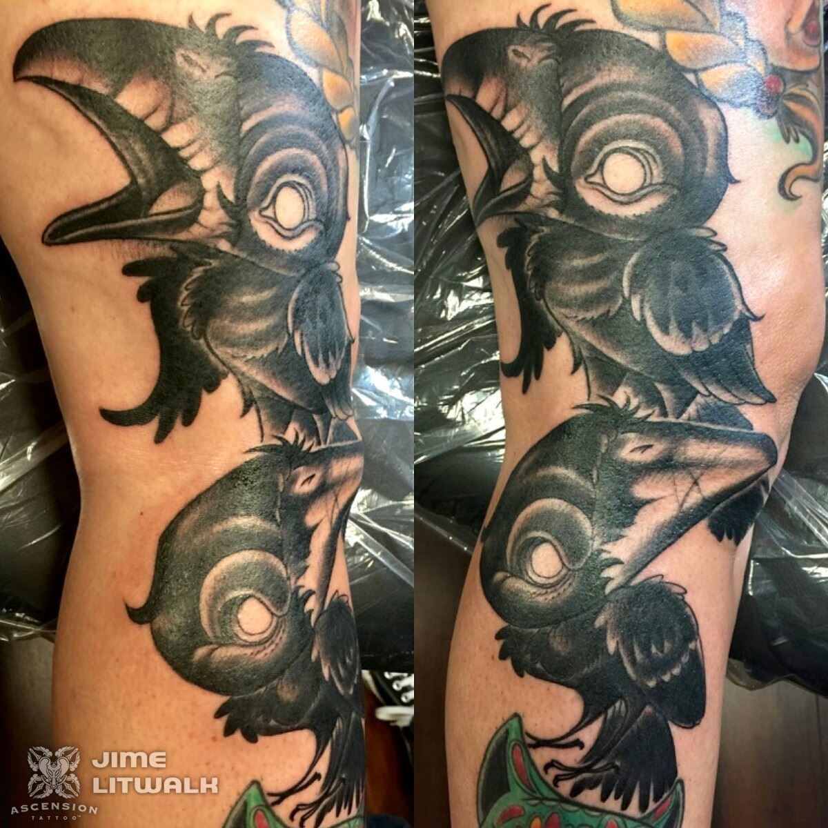 11221320-667782170033252-5184159551267326406-o-jpg