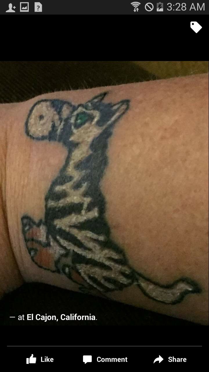 Screenshot-2015-06-22-03-28-26-png