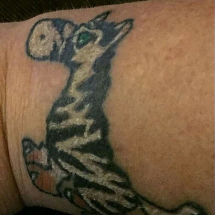 Img-20150622-033649-jpg