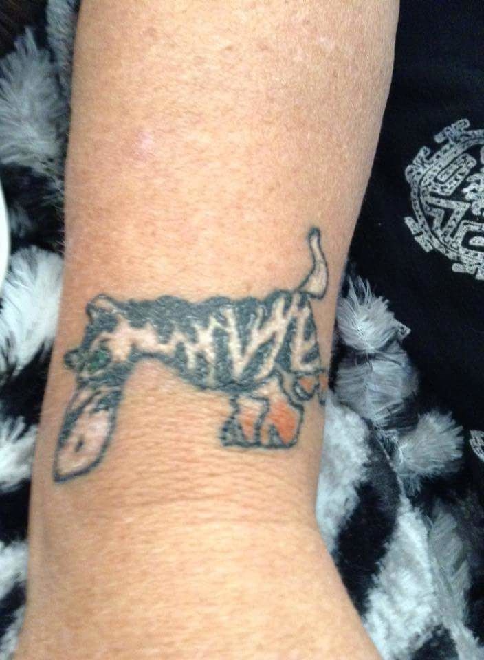 Fb-img-1435907201509-jpg