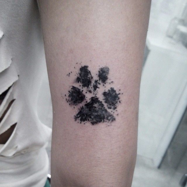 10943637-10205730178677864-1475227475505481198-n-jpg